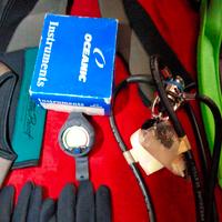 muta e accessori 
