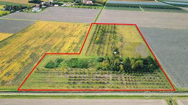 Terreno Agricolo - 1,65 Ettari