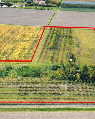 Terreno Agricolo - 1,65 Ettari