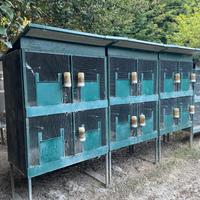 Gabbia per uccelli