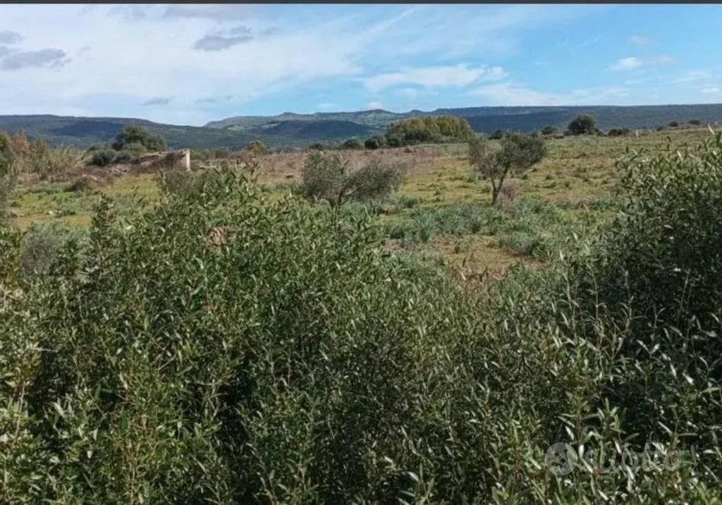 Immobile in asta di 64291 m² a Uras - Vista 4