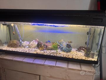 Acquario completo
