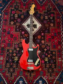 Basso Hofner 182 appena restaurato