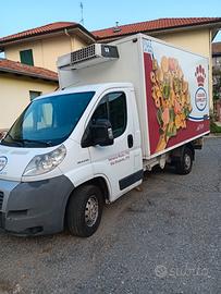 Furgone Fiat Ducato isotermico