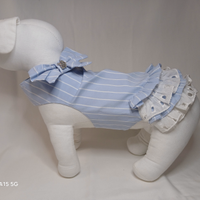 Abbigliamento e accessori per chiuhuahua