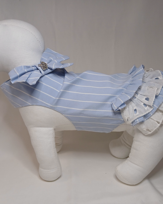 Abbigliamento e accessori per chiuhuahua