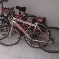 mountain-bike 