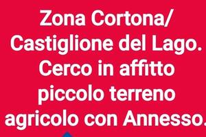 Capannone/Terreno Agricolo c.e.r.c.o
