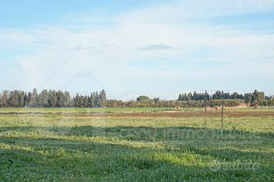 San Sperate terreno agricolo 29.900 mq