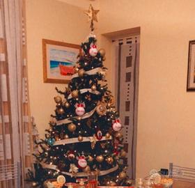 Albero di natale compreso di palline e luci