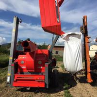 Raccoglitrice legumi in particolare fagioli