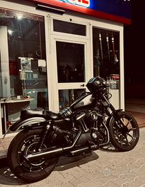 Harley Davidson Iron 883