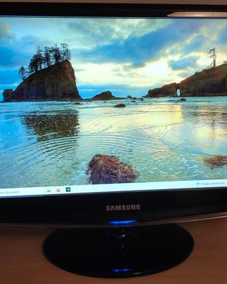 MONITOR SAMSUNG  2033SW - LCD 20 pollici
