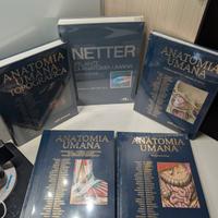 Anstasi 1-2-3 + topografica + netter