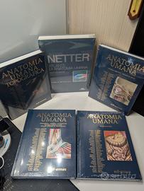 Anstasi 1-2-3 + topografica + netter