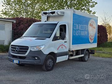 Mercedes sprinter 516 cella frigo