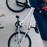Bicicletta 20