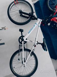 Bicicletta 20