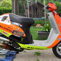 Piaggio quartz malossi