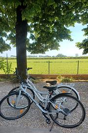biciclette uomo e donna