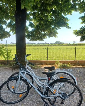biciclette uomo e donna
