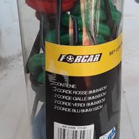 Cinghie elastiche