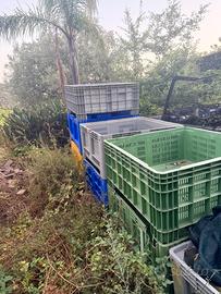 Cassoni - Bins