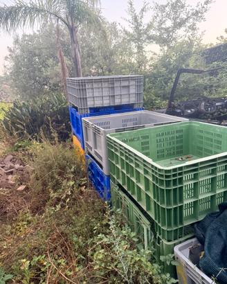 Cassoni - Bins