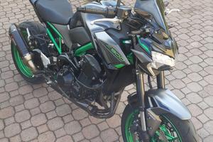 Z900 2023