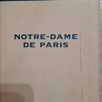 libro notre dame de Paris, Victor hugo