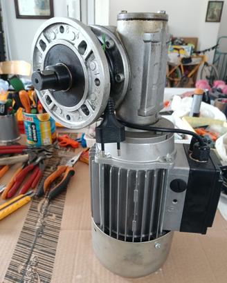 motore 220v con riduttore