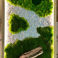 Verde stabilizzato con cornice elegante