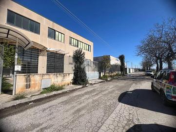 CAPANNONE A ORTA DI ATELLA