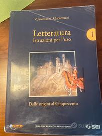 Letteratura, istruzioni per l’uso 1