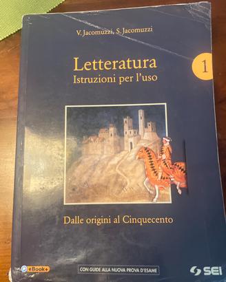 Letteratura, istruzioni per l’uso 1