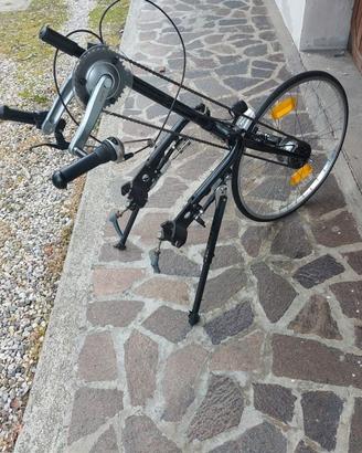 Easy-bike bicicletta per disabili