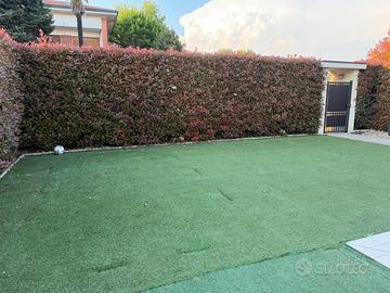 Erba sintetica 70 mq