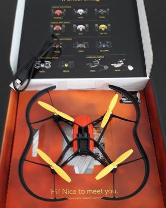 Mini drone