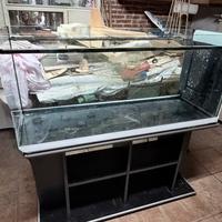 Acquario 300 lt + mobile