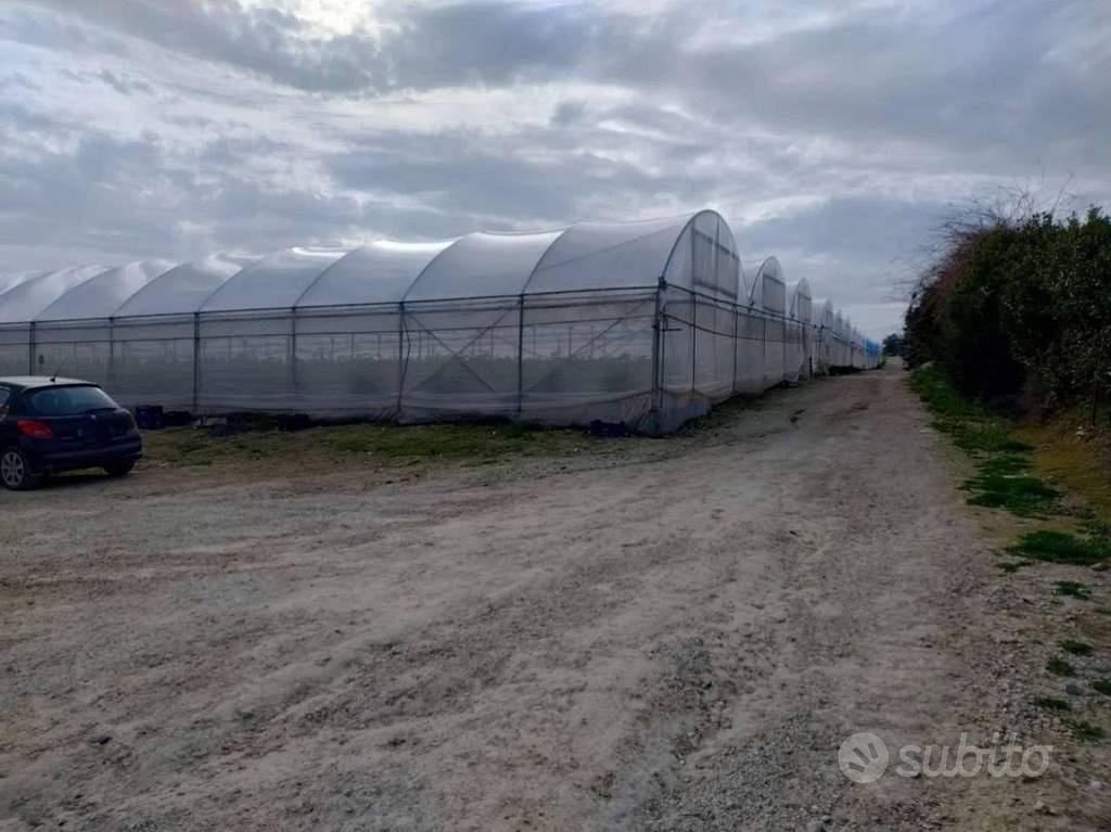 Immobile in asta di 48970 m² a Noto - Vista 4