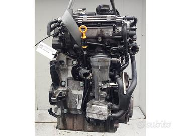 AMF MOTORE VOLKSWAGEN POLO (9N1) 1.4 TDI 6v MAN 5m