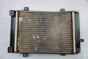 RADIATORE ACQUA CAN AM BRP DS 250 BD 2007 2008 DS2