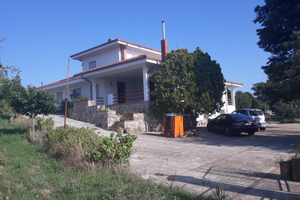 Villa mq totali 590