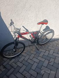 bici mtb