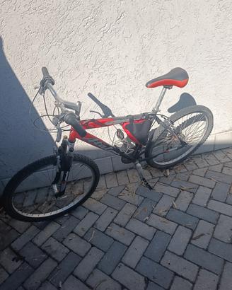 bici mtb