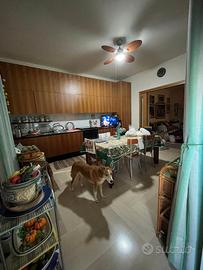 Cucina in noce nazionale mod. DADA della Molteni 