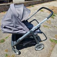 Trio Inglesina aptica
