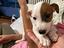 Immagine 6