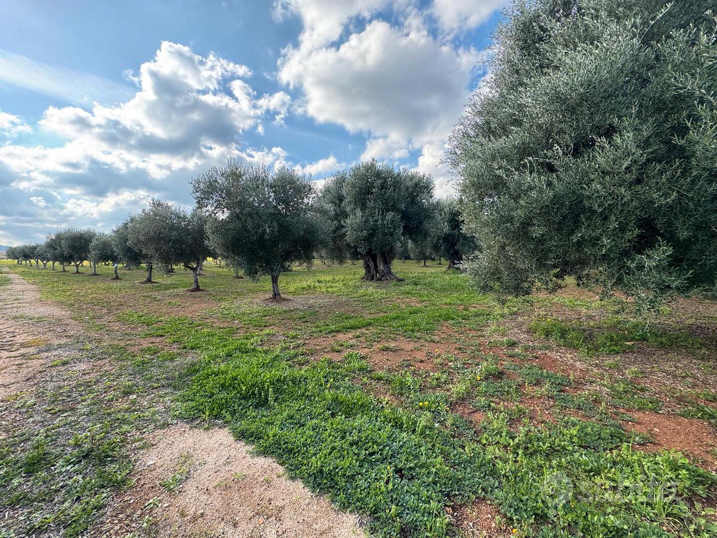 Terreno 5000 m²(+5000) - Vista 3