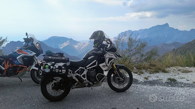 Tiger 1200 rally pro